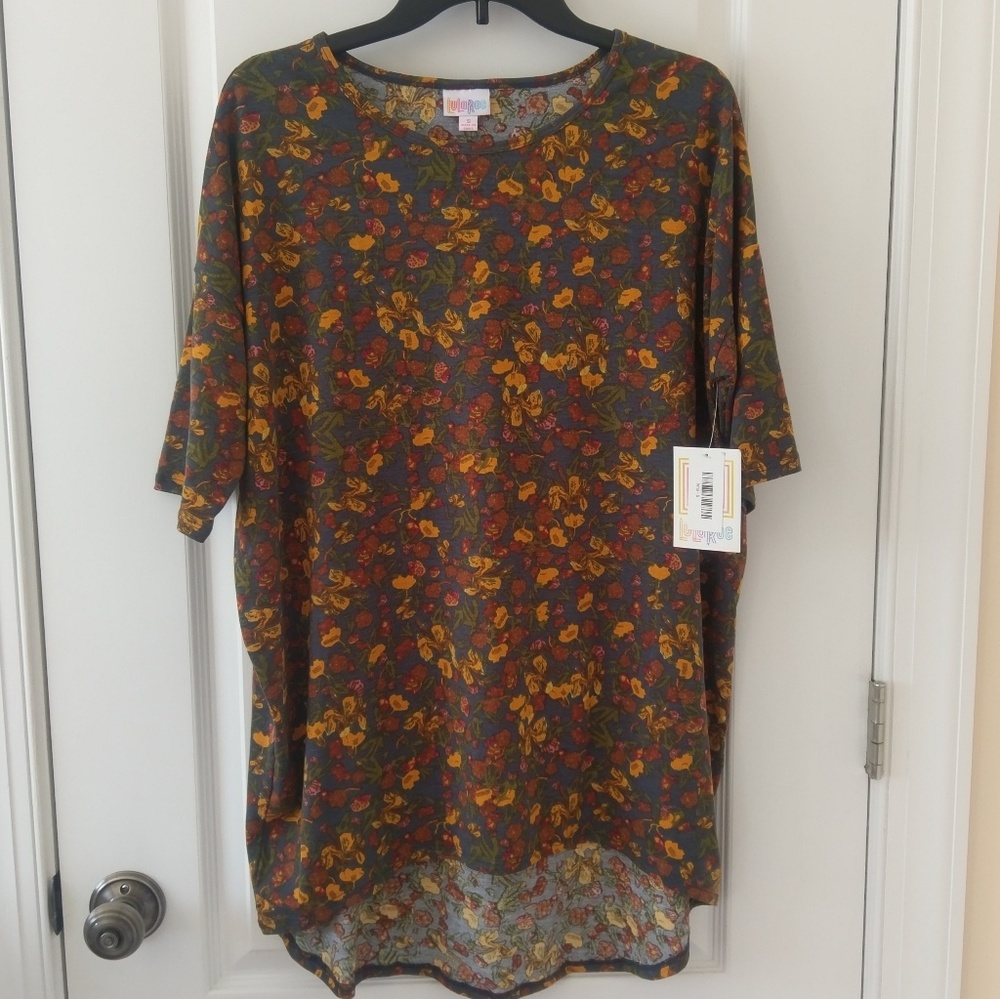 NWT S Irma